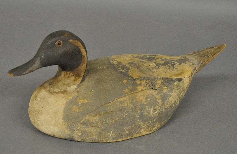 Appraisal: - Carved pintail duck decoy with glass eyes h x