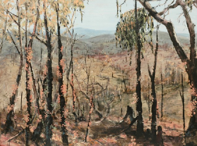 Appraisal: Clifton Pugh - After the Bushfire oil on board signed