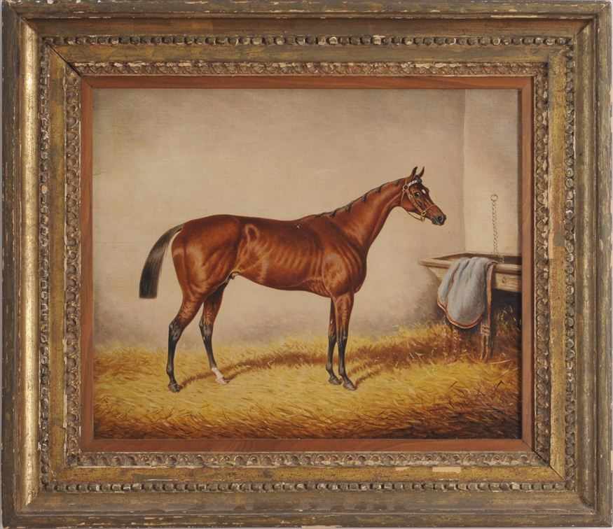 Appraisal: ENGLISH SCHOOL AMERICAN CHAMPION FOXHALL Oil on canvas x in