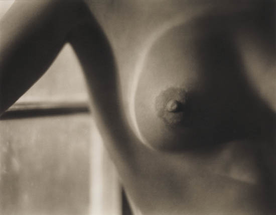 Appraisal: WESTON EDWARD - WESTON COLE - Nude Breast and Window