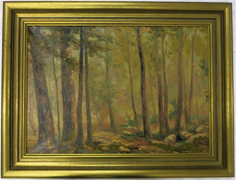 Appraisal: FOREST INTERIOR OIL ON CANVAS Image measures x unsigned In