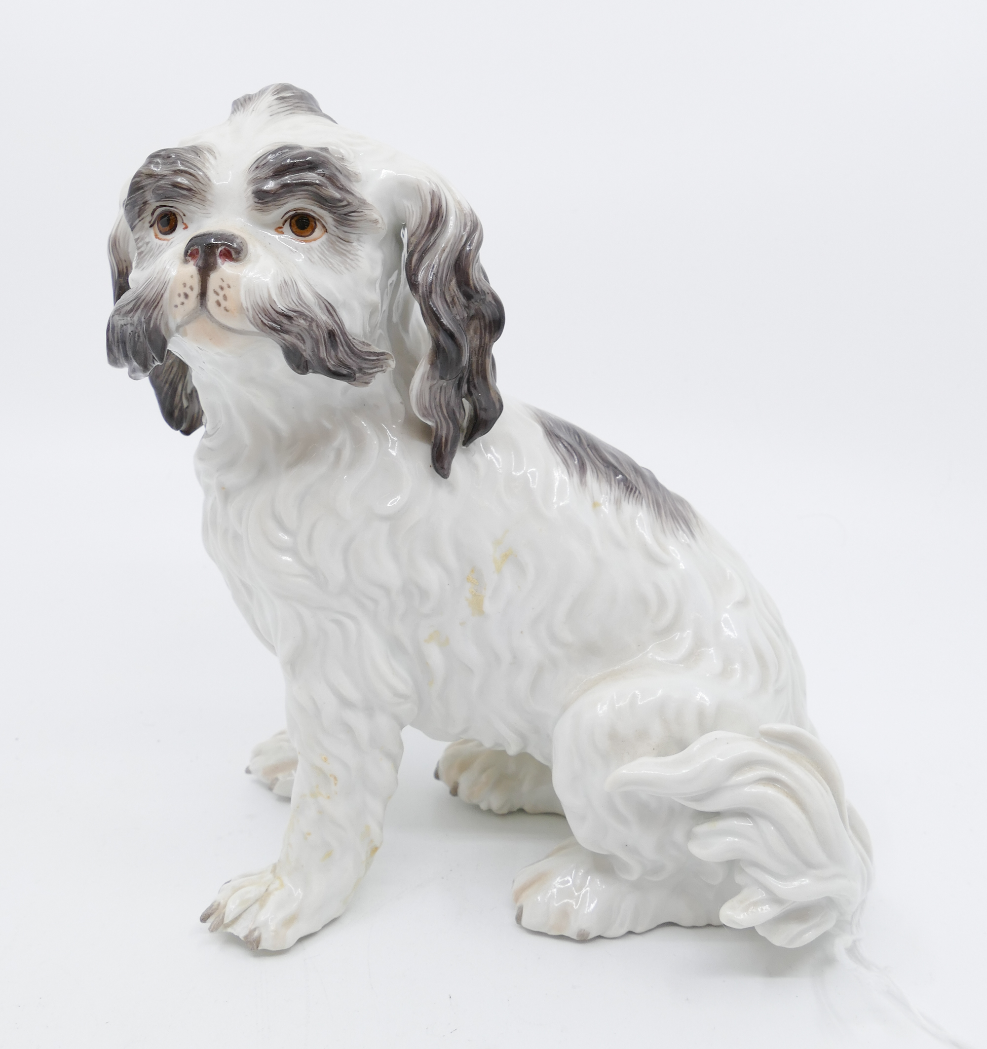 Appraisal: Meissen Bolognese Spaniel Porcelain Dog Figurine model by Johann Joachim