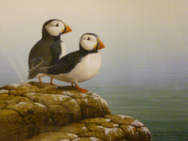 Appraisal: RALPH WATERHOUSE th Century Plover and Puffins a pair watercolour