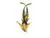 Appraisal: A DIAMOND GOLD AND ENAMEL BIRD OF PARADISE BROOCH pav