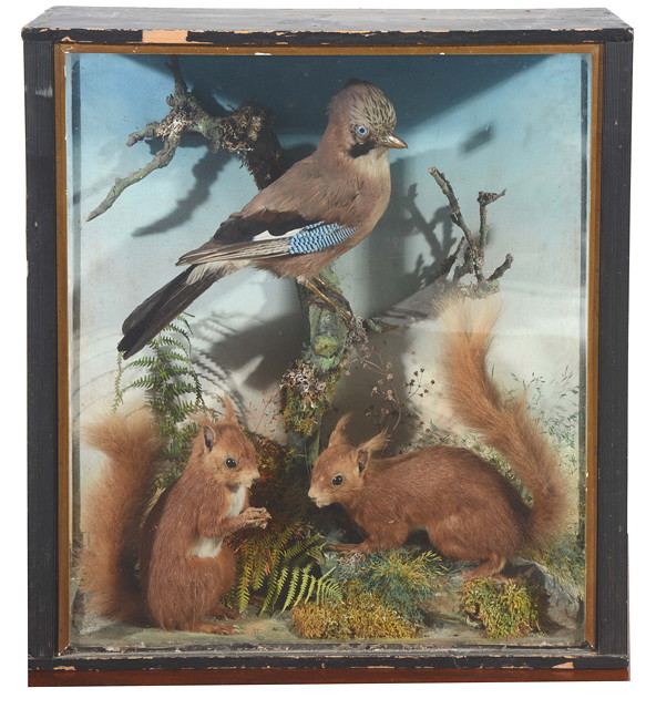 Appraisal: AN ANTIQUE TAXIDERMIC GROUP consisting of a jay and a