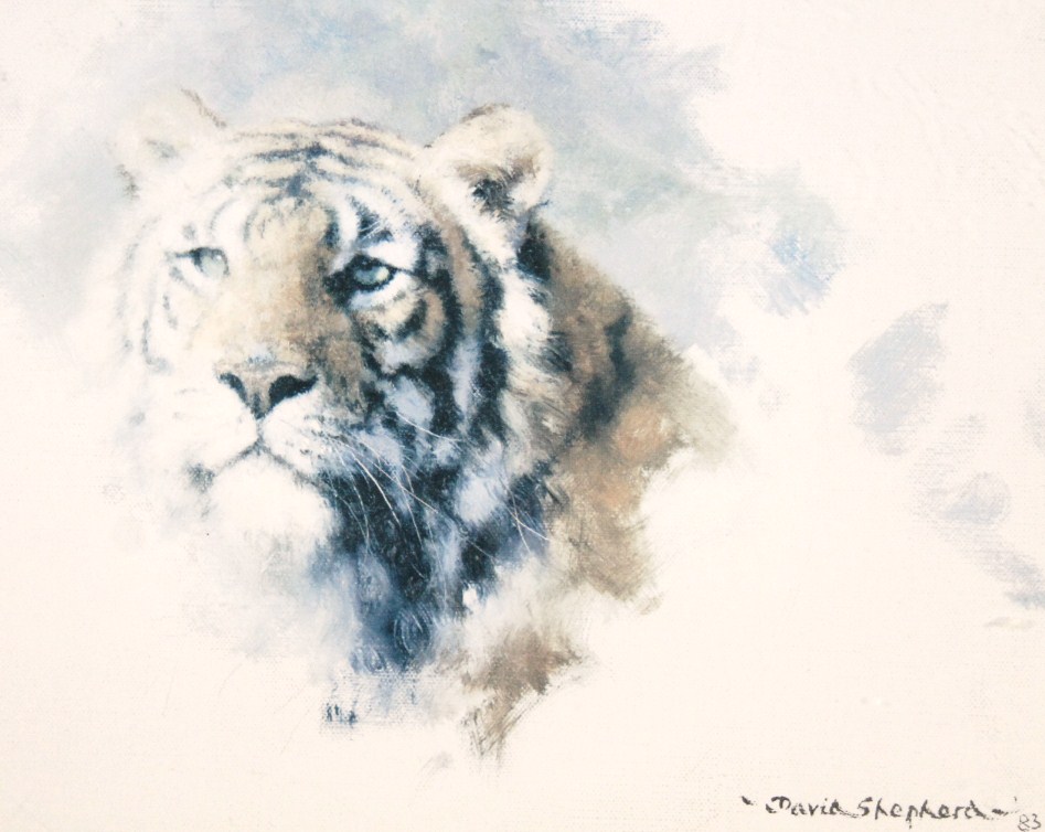 Appraisal: David Shepherd Tiger's Head signed limited edition artist print watermarked