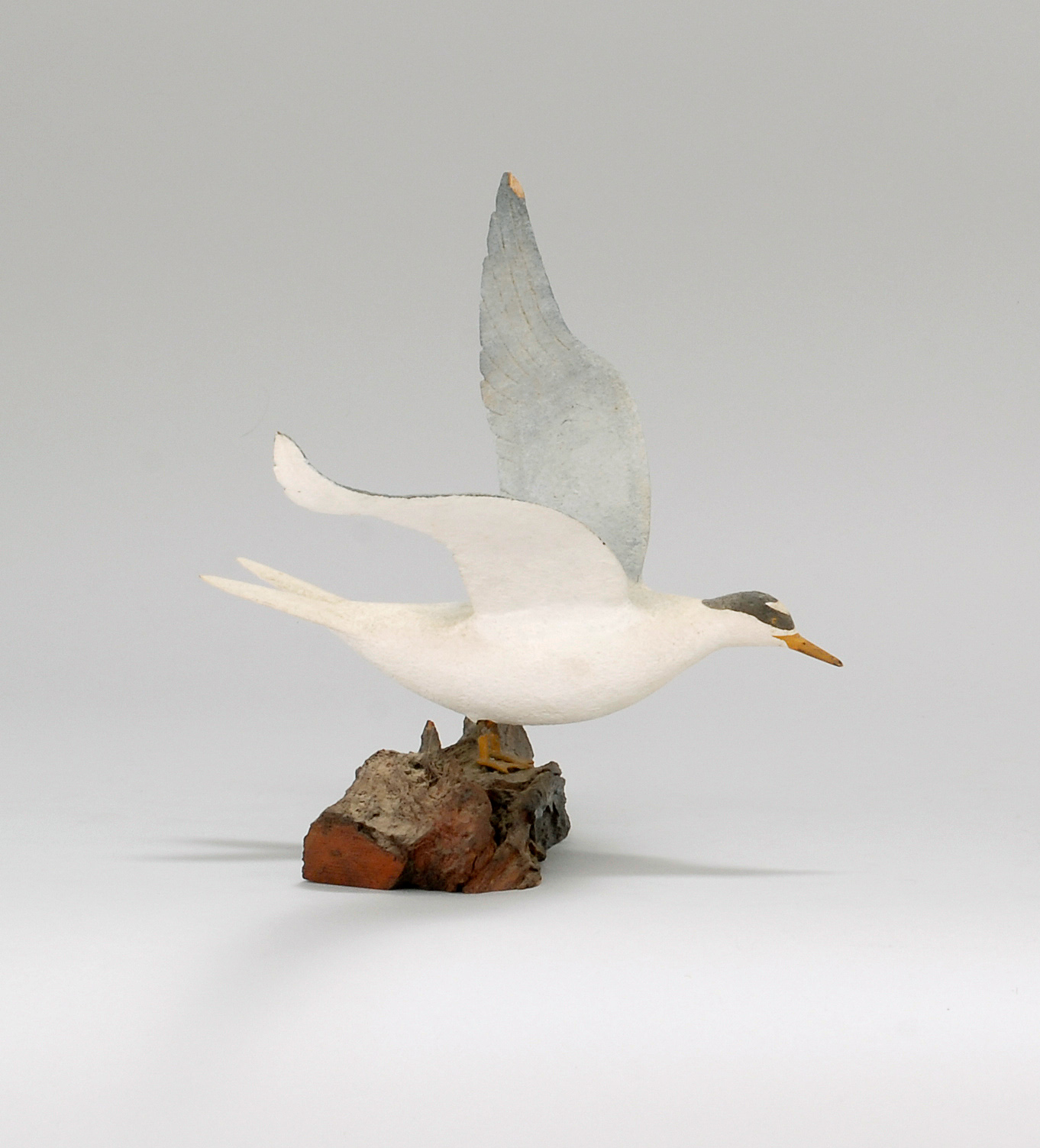 Appraisal: LIFE-SIZE CARVING OF A LEAST TERN By Robert Innis of