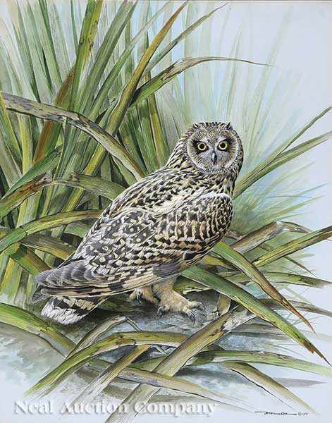 Appraisal: Basil Ede English b Short-Eared Owl watercolor on paper signed