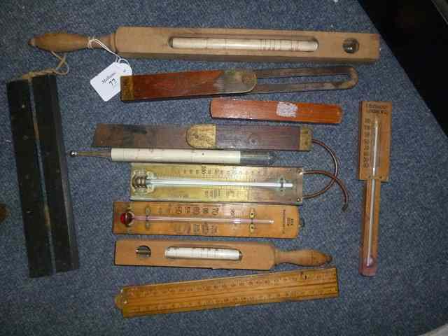 Appraisal: A GROUP OF VARIOUS THERMOMETERS A set of ebony parallel