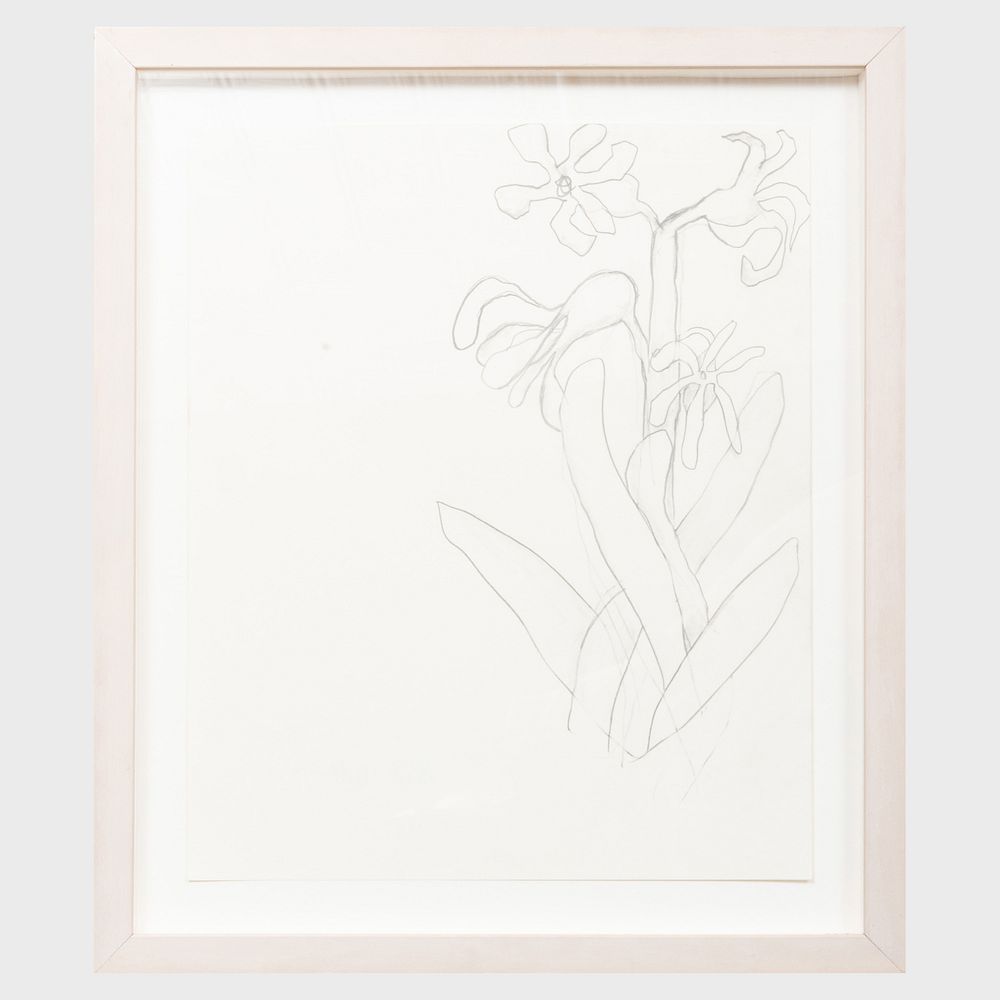 Appraisal: Jack Pierson b Untitled Flower Pencil on paper signed 'Jack