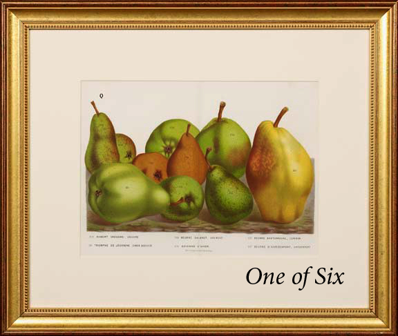 Appraisal: Continental School Third Quarter th Century Pear Studies suite of