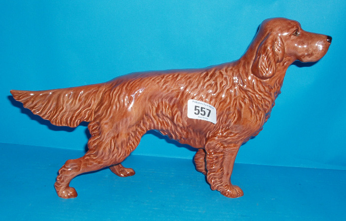 Appraisal: Rare Large English Setter In Red Brown Colourway