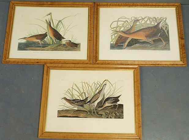 Appraisal: Three maple framed and matted engravings of birds Engraved Printed