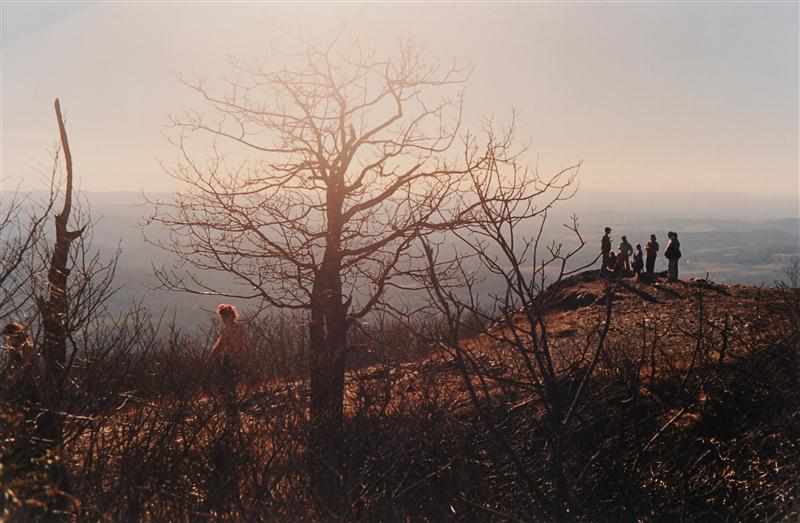 Appraisal: JUSTINE KURLAND b MEETING ON THE HILL C-print numbered signed