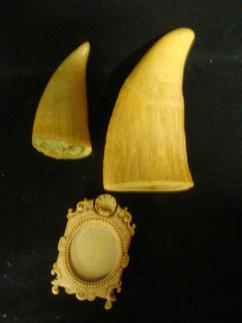 Appraisal: Lot of Pieces of Ivory Teeth and a Frame From