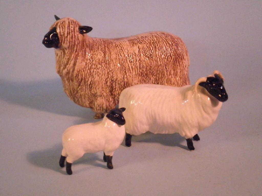 Appraisal: Beswick A Wensleydale sheep black faced lamb and a black