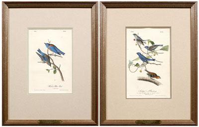 Appraisal: Two Audubon Royal Octavo prints Plate Western Blue Bird and