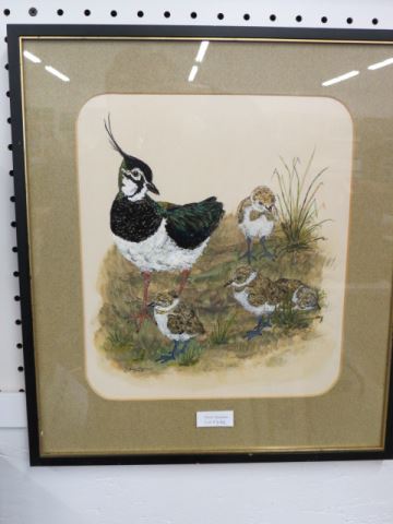 Appraisal: Barbara Sutherland watercolor and gouache bird and chicks image area