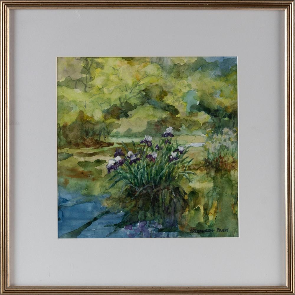 Appraisal: ELIZABETH HAYES PRATT MASSACHUSETTS - WETLAND BLOOMS WATERCOLOR ON PAPER