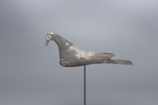 Appraisal: Rock Dove Decoy Rock Dove Decoy c in long A