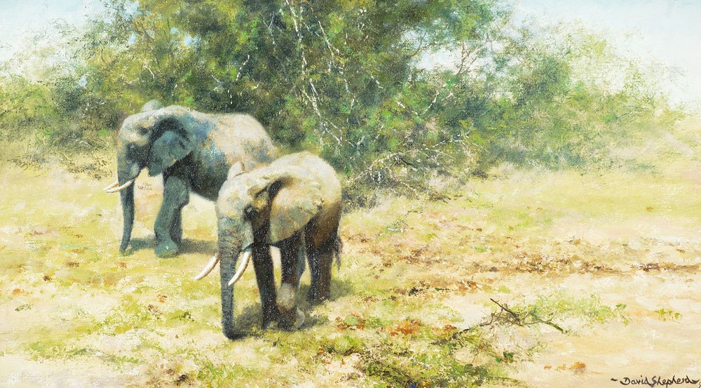 Appraisal: David Shepherd - Young Elephants Foraging David Shepherd - Young