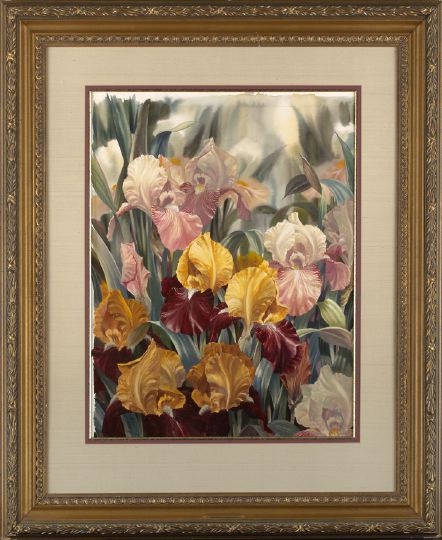 Appraisal: Darryl Trott Australian - Gold Medal Iris Garden watercolor on