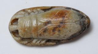 Appraisal: Chinese Carved Nephrite Jade Cicada Amulet The insect an immortality