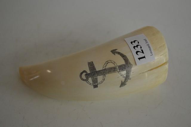 Appraisal: SCRIMSHAW WHALES TOOTH ANCOR DESIGN INITIALLED AEH TO REVERSE