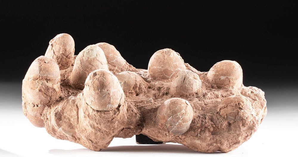 Appraisal: Late Cretaeceous Troodon Dinosaur Eggs Clutch of North America or