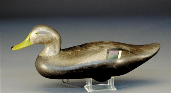 Appraisal: R Madison Mitchell black duck decoy Havre de Grace Maryland