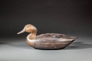 Appraisal: Black Duck Philadelphia School Philadelphia PAc A hollow Blair-School decoy