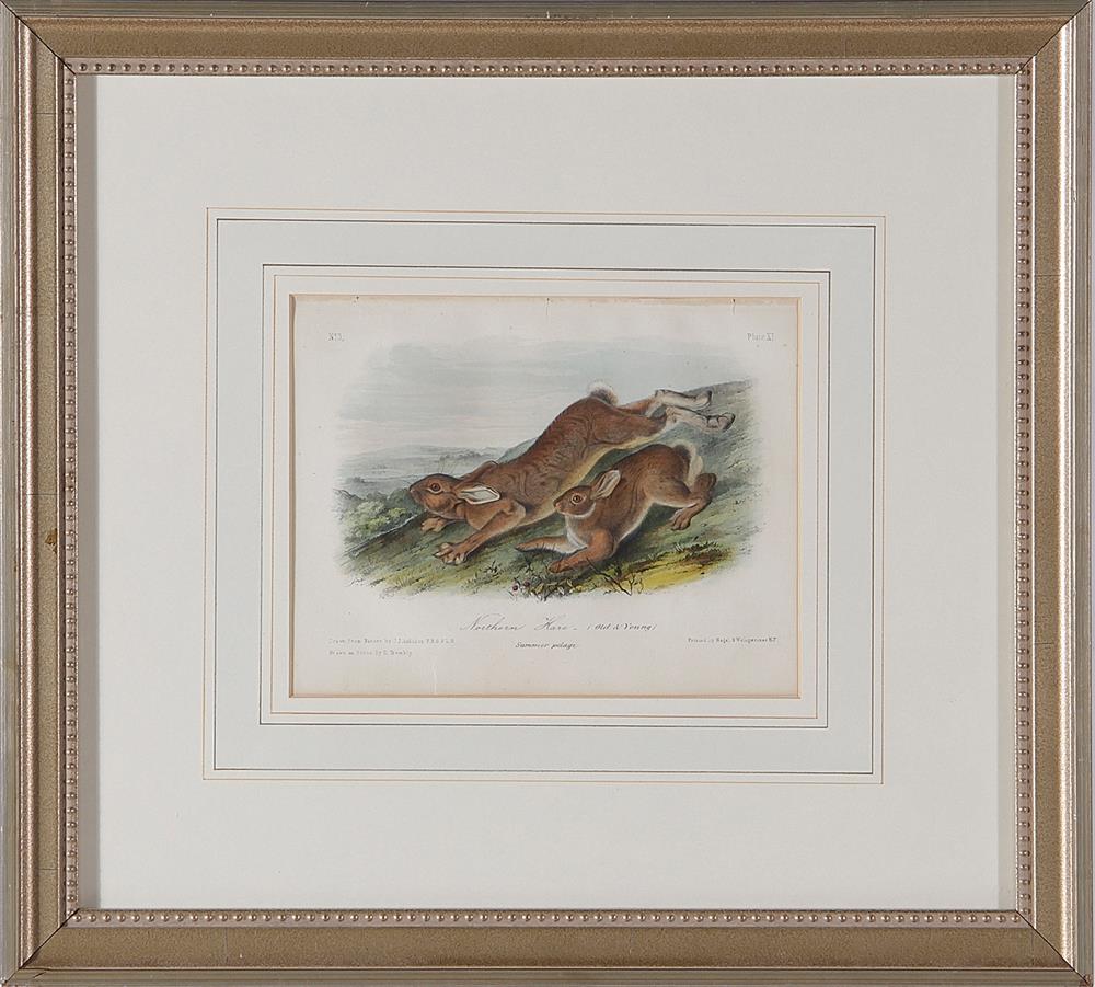 Appraisal: Color lithographs of hares de Lasteyrie and Audubon three works