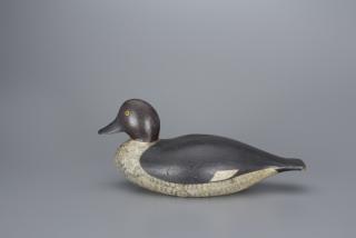 Appraisal: Goldeneye Hen Joseph W Lincoln Goldeneye Hen Joseph W Lincoln