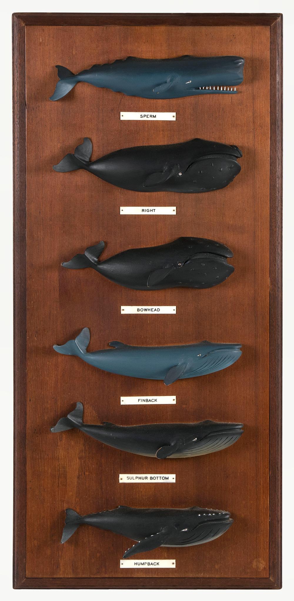 Appraisal: RICHARD ORR WHALE PLAQUE TH CENTURY X RICHARD ORR WHALE