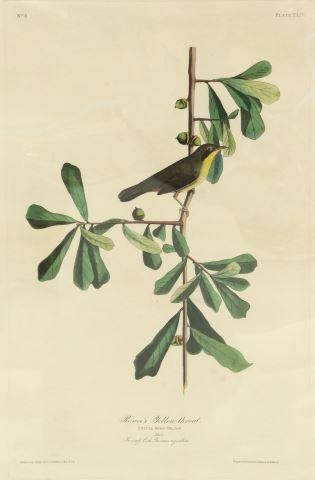 Appraisal: Unframed engraving with aquatint and hand coloring Roscoe's Yellow-throat Sylvia