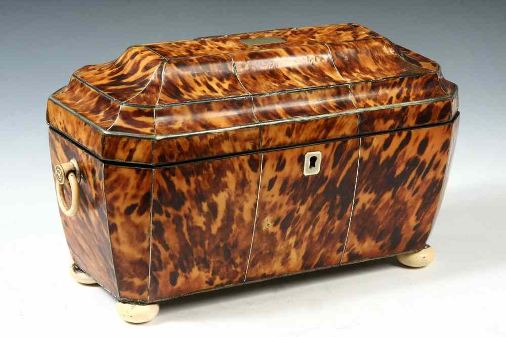 Appraisal: TORTOISESHELL TEA CADDY - English Regency Tortoiseshell Tea Caddy ca