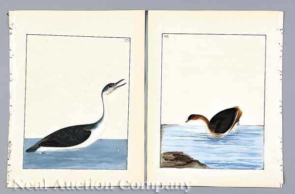 Appraisal: William Lewin English - a group of watercolor drawings from