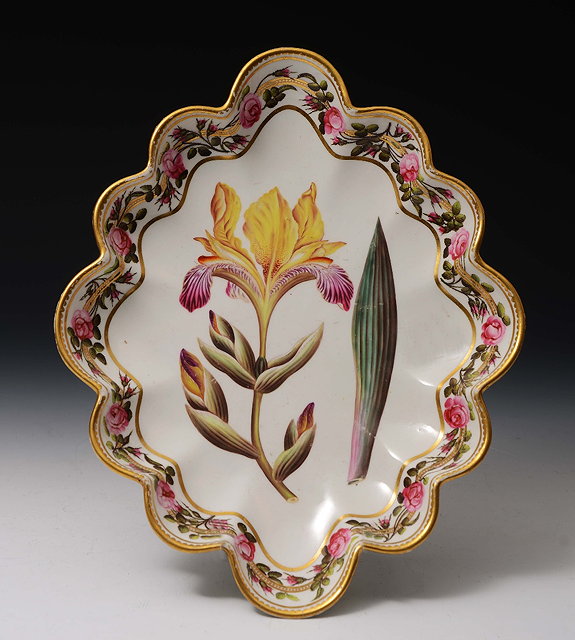 Appraisal: A Derby botanical porcelain dishof lozenge shaped form with gilt