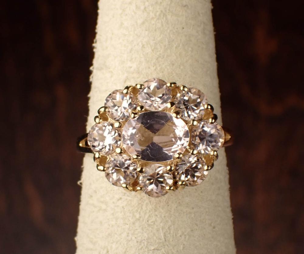 Appraisal: MORGANITE AND FOURTEEN KARAT GOLD RING The yellow gold ring