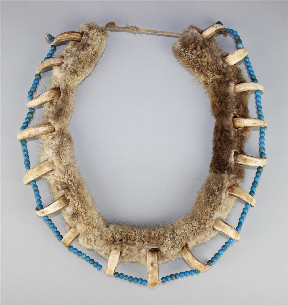 Appraisal: PRAIRIE OTTER SKIN IMITATION BEAR CLAW NECKLACE blue glass trade