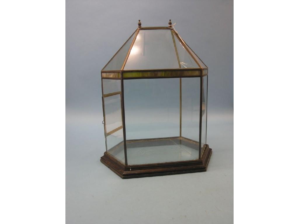 Appraisal: A glass terrarium display case hexagonal-shape with brass frame in