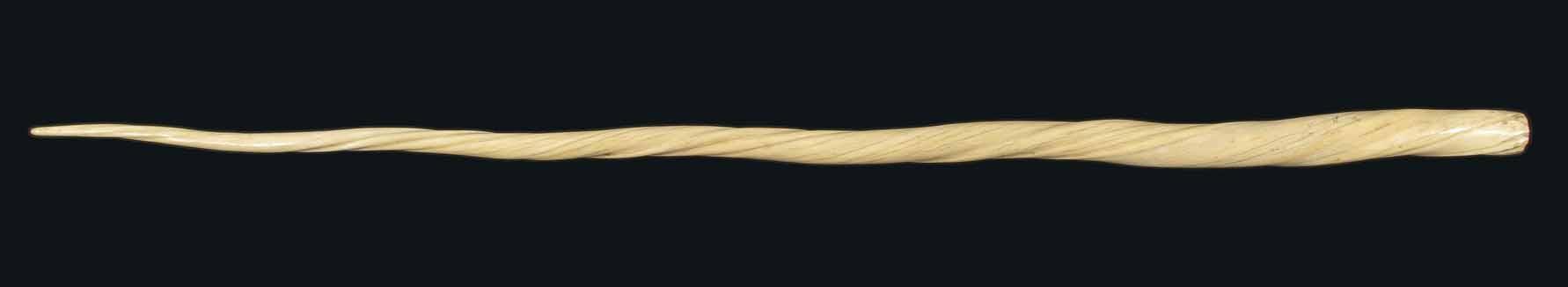 Appraisal: A th century Narwhal tusk