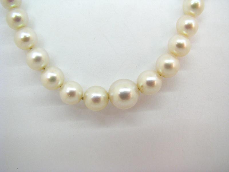 Appraisal: Lady's Cultured Pearl Graduated Strand '' in length sterling silver