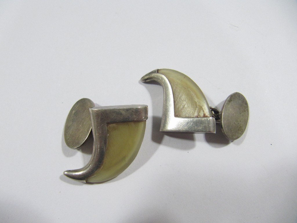 Appraisal: Pair of silver mounted tigers claw cuff links