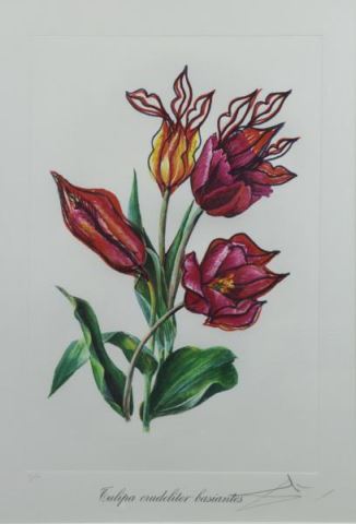 Appraisal: DALI Salvador Embossed Lithograph TulipaCrudeliter Basiantes Kissing Tulips from The