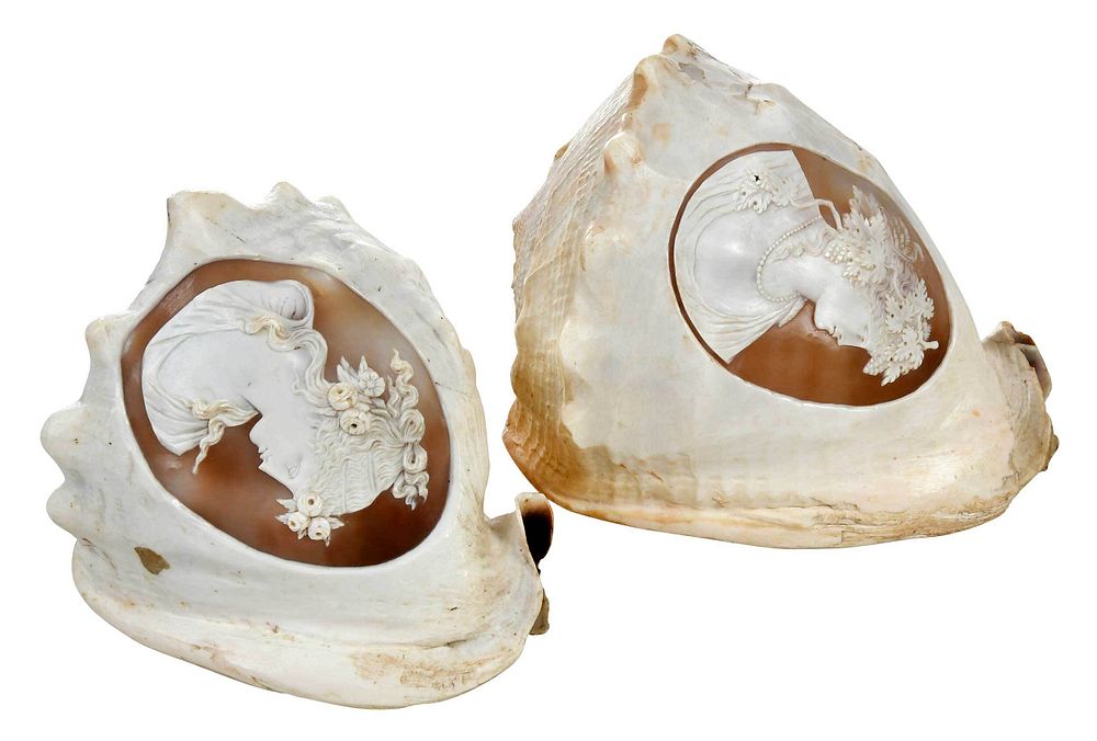 Appraisal: Two Continental Carved Cameo Shells th century large sea shells