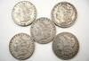 Appraisal: COINS - silver dollars all CC