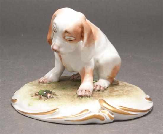 Appraisal: Capodimonte porcelain figure of a puppy with a beetle th