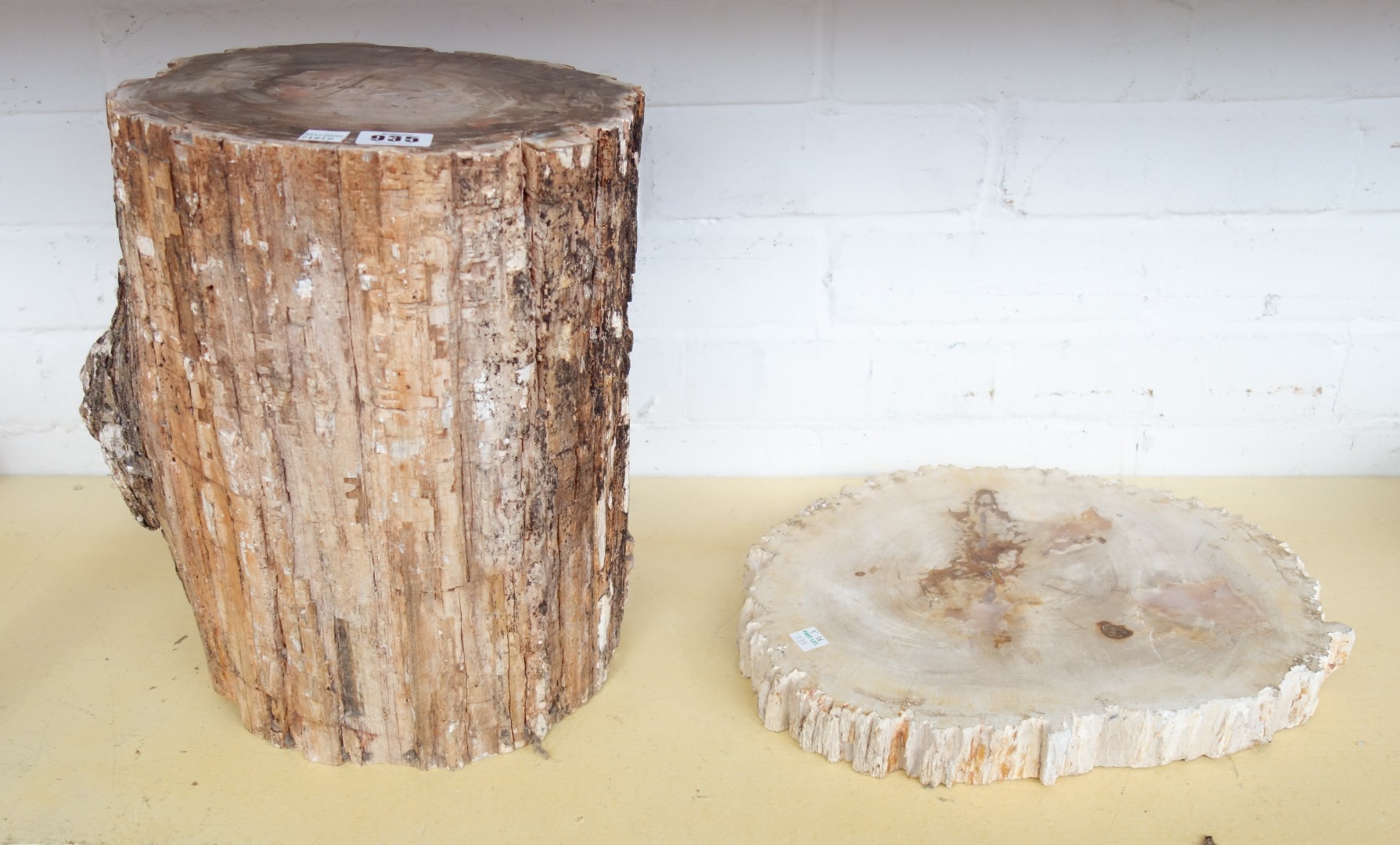 Appraisal: A polished section of petrified wood of naturalistic trunk form