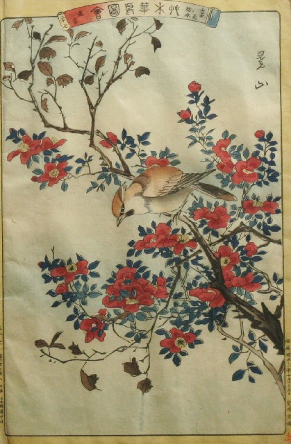 Appraisal: Nineteenth Century Japanese School A Bird Perching on a Branch